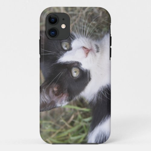 A black and white cat kitten in the garden iPhone 11 case