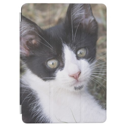 A black and white cat kitten in the garden iPad air cover