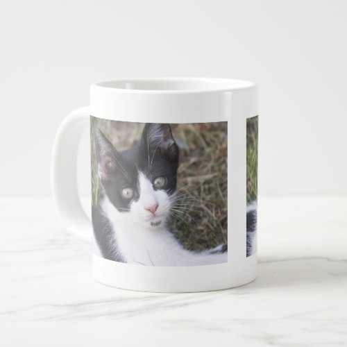 A black and white cat kitten in the garden large coffee mug