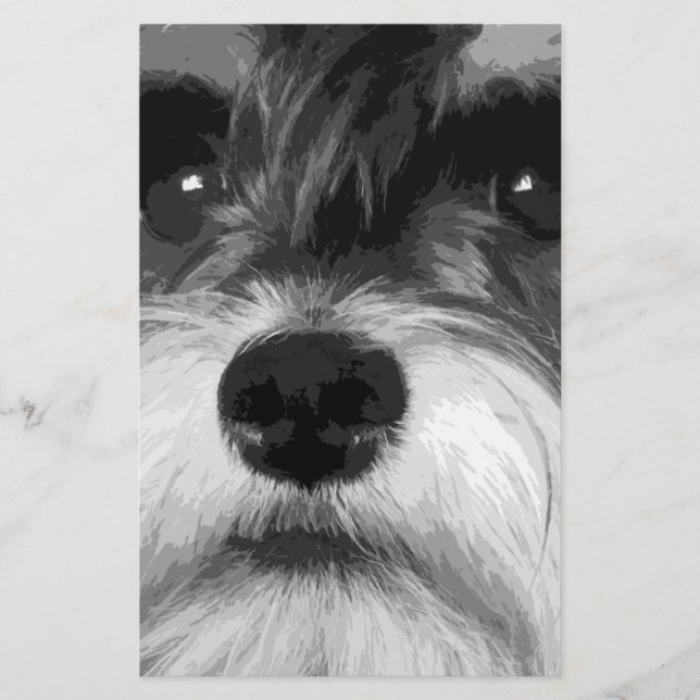 A black and white Miniature Schnauzer Stationery (Front)
