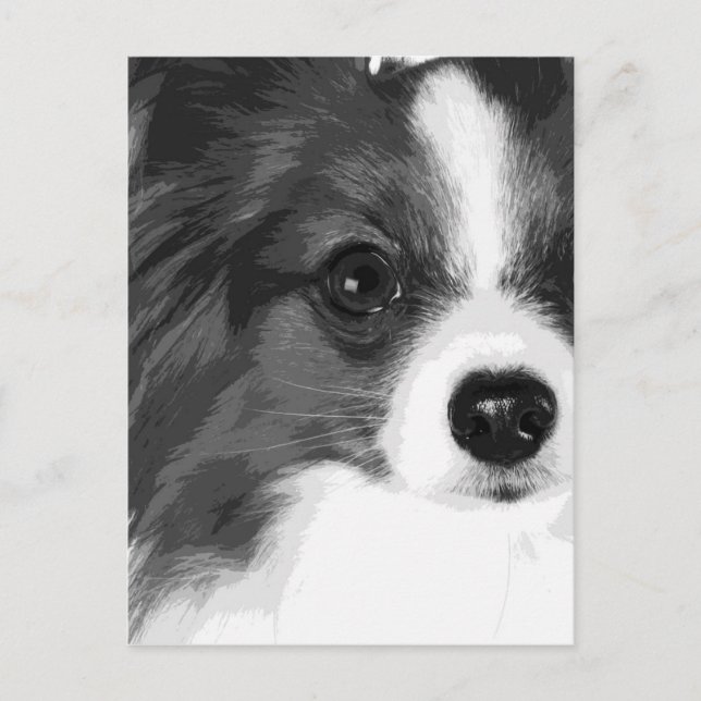 A black and white Papillon Postcard (Front)