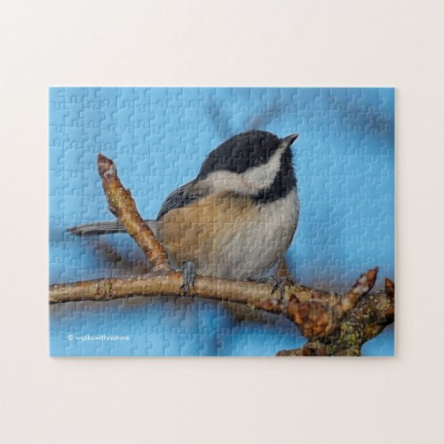 A Black_Capped Chickadee on the Pear Tree Jigsaw Puzzle