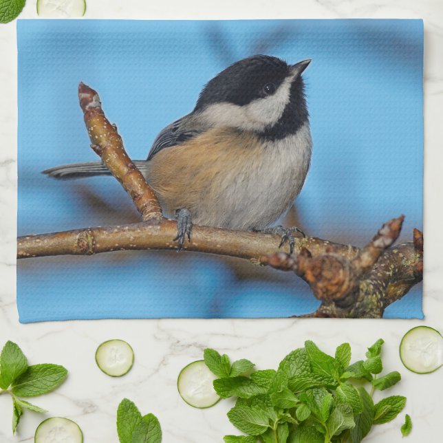 A Black-Capped Chickadee on the Pear Tree Towel (Folded)