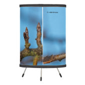 A Black-Capped Chickadee on the Pear Tree Tripod Lamp (Back)