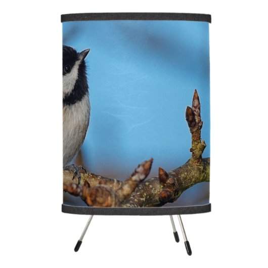 A Black-Capped Chickadee on the Pear Tree Tripod Lamp (Right)