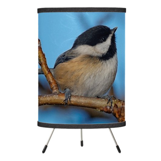 A Black-Capped Chickadee on the Pear Tree Tripod Lamp (Front)