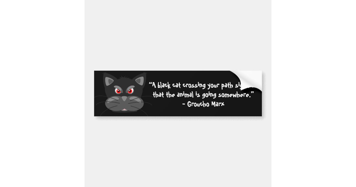A Black Cat Crossing Your Path Signifies That Bumper Sticker Zazzle Com
