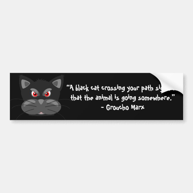 A black cat crossing your path signifies that bumper sticker (Front)