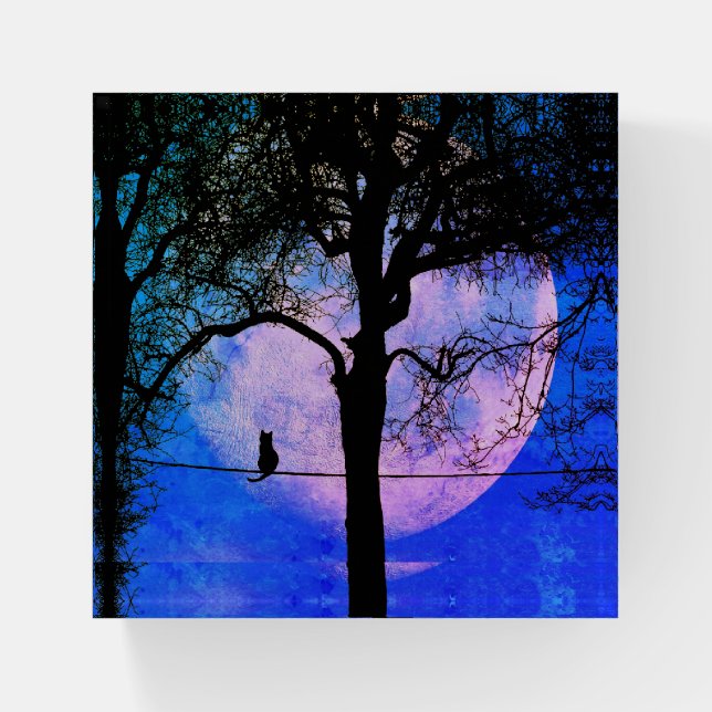 A Black Cat on a Wire Full Moon Paperweight (Front)