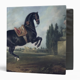 A black horse performing the Courbette 3 Ring Binder