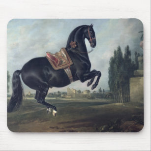 A black horse performing the Courbette Mouse Pad