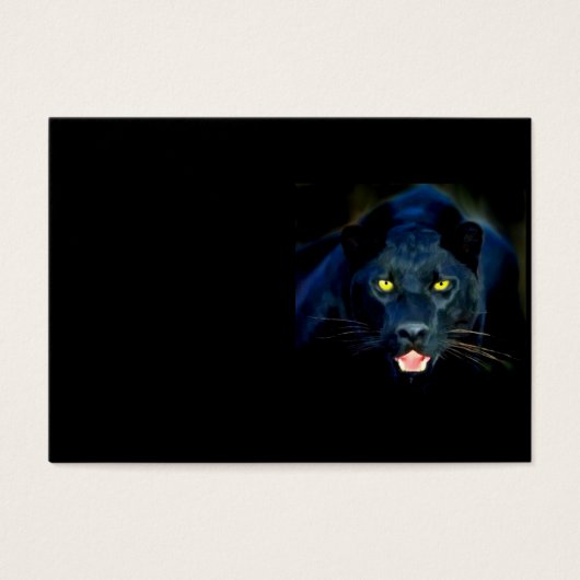 A Black Panther (Front)