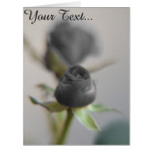 A black rose (Front)