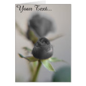 A black rose (Front)