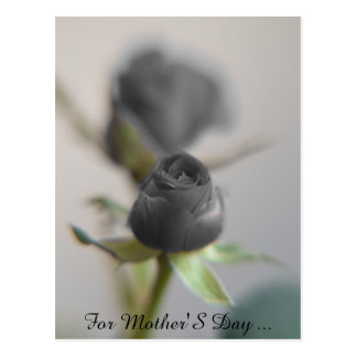 A Black Rose for Mother ... Postcard gefunden auf Zazzle