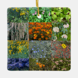 A Blooming California: 2021 Color Celebration Cera Ceramic Ornament