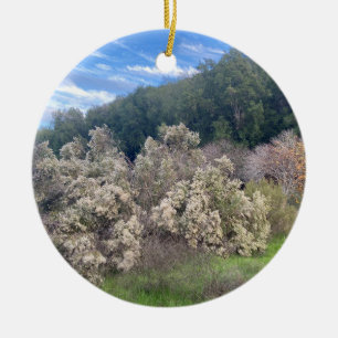 A Blooming California: A Blooming California Cele Ceramic Ornament