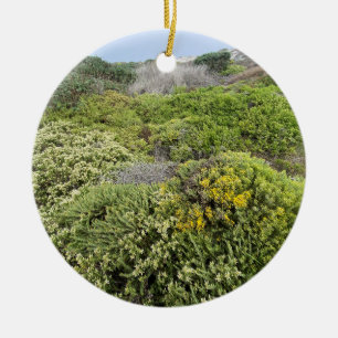 A Blooming California: Asilomar Dunes Ceramic Ornament
