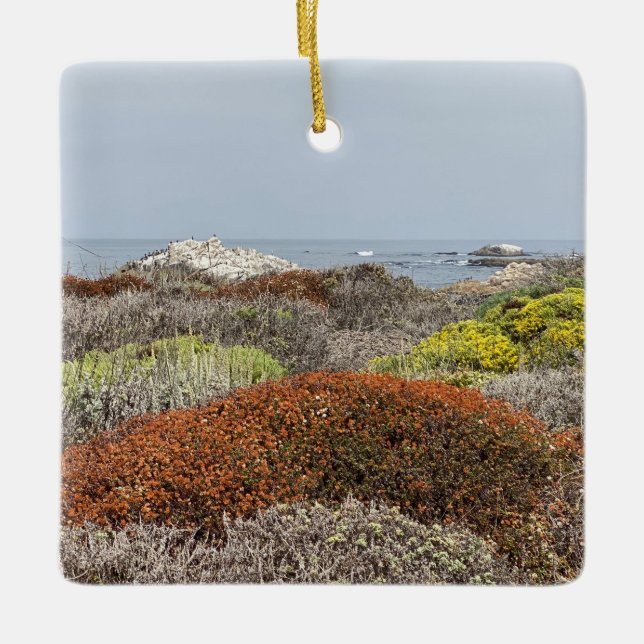 A Blooming California: Asilomar State Beach Ceramic Ornament (Front)