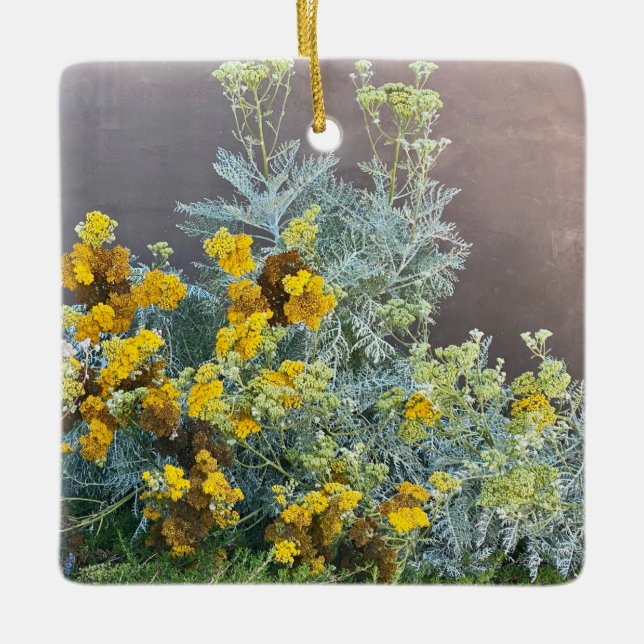 A Blooming California: Catalina Silverlace Ceramic Ornament (Front)