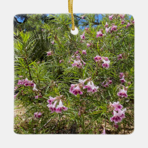 A Blooming California: Desert Willow Ceramic Ornament