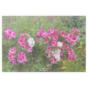 A Blooming California: Farewell to Spring! Gallery Wrap