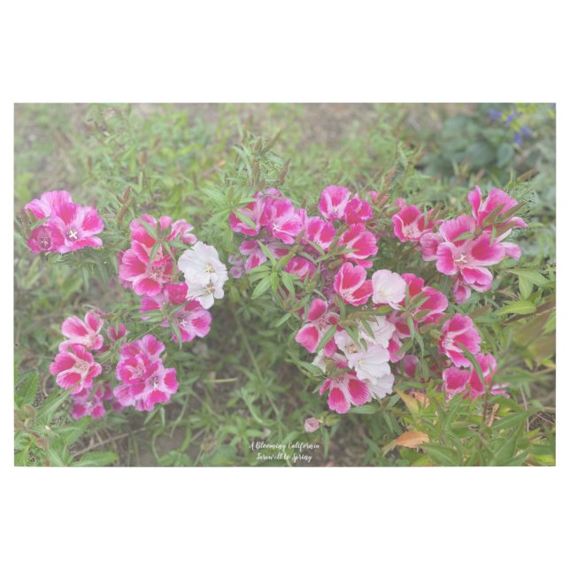 A Blooming California: Farewell to Spring! Gallery Wrap (Front)
