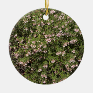 A Blooming California: Manzanita Ceramic Ornament