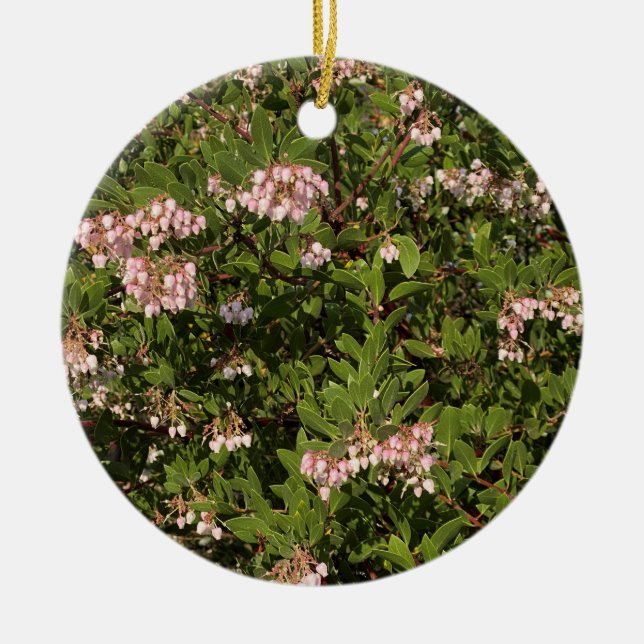 A Blooming California: Manzanita Ceramic Ornament (Front)