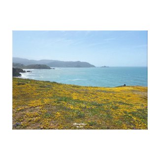 A Blooming California: Mori Point Canvas Print
