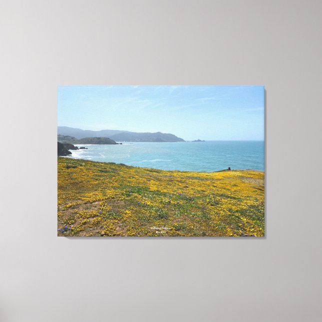 A Blooming California: Mori Point Canvas Print (Front)