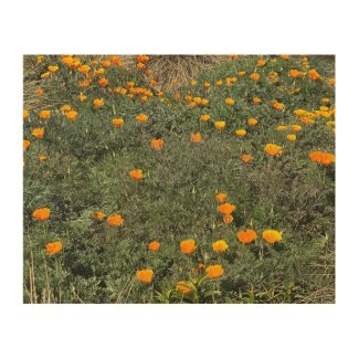 A Blooming California: Orange Is the New Green Wood Wall Art