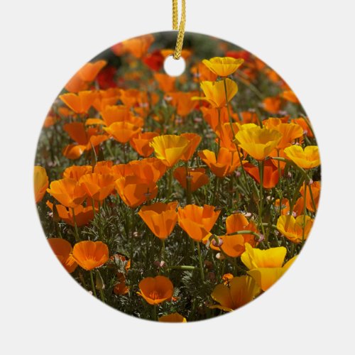 A Blooming California Poppies Ceramic Ornament