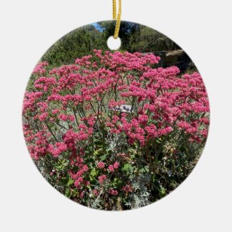 A Blooming California: Red-flowered Buckwheat Ceramic Ornament