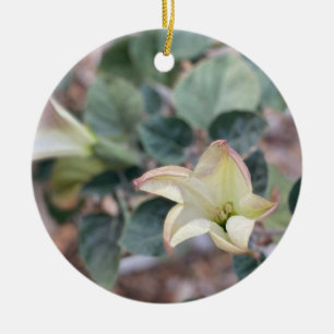 A Blooming California: Sacred Datura Ceramic Ornam Ornament
