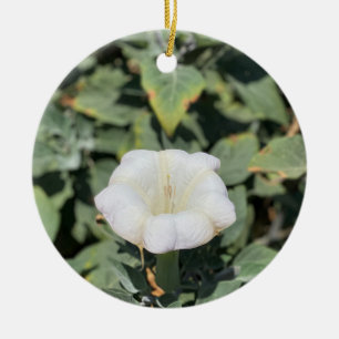 A Blooming California: Sacred Datura Ceramic Ornament