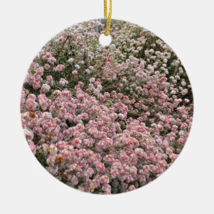 A Blooming California: Sea Cliff Buckwheat Ceramic Ornament