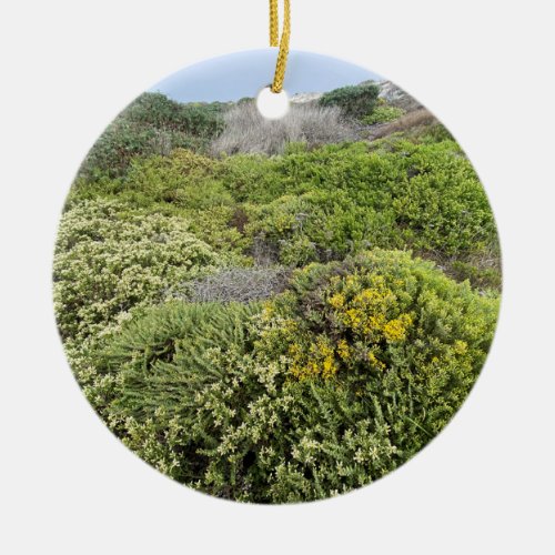 A Blooming California Sea Cliff Buckwheat Ceramic Ornament