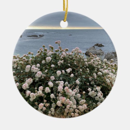 A Blooming California Sea Cliff Buckwheat Ceramic Ornament