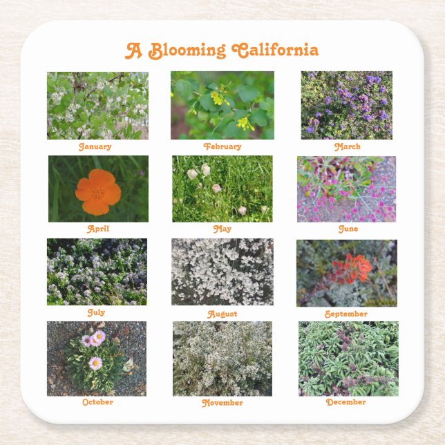 A Blooming California Square Paper Coaster (Front)