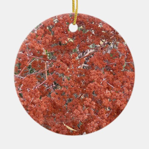 A Blooming California St Catherines Lace Ceramic Ornament