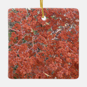 A Blooming California: St. Catherine's Lace Ceramic Ornament