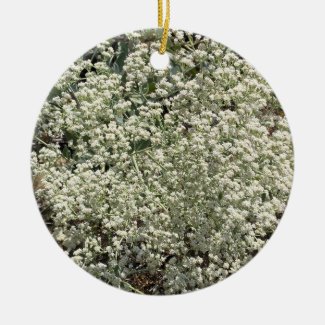 A Blooming California: St. Catherine's Lace Ceramic Ornament