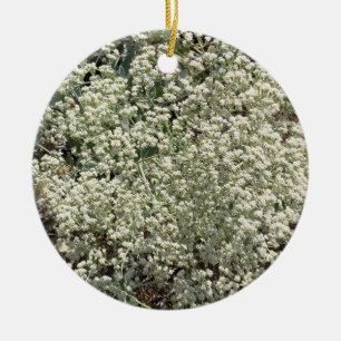 A Blooming California: St. Catherine's Lace Ceramic Ornament