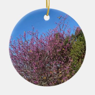 A Blooming California: Western Redbud Ceramic Ornament