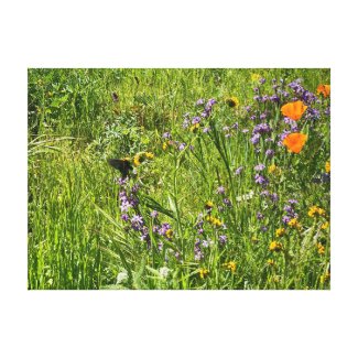 A Blooming California: Wildflowers Canvas Print