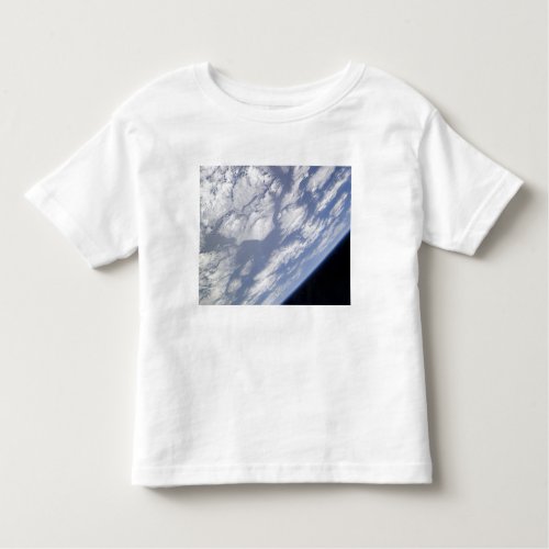 A blue and white part of Earth Toddler T_shirt