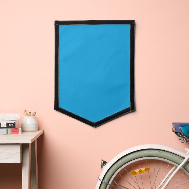 a blue background with a black and white cat on to pennant (Insitu 2)