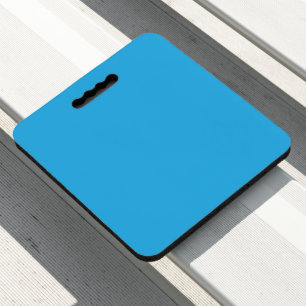 a blue background with a black and white cat seat cushion