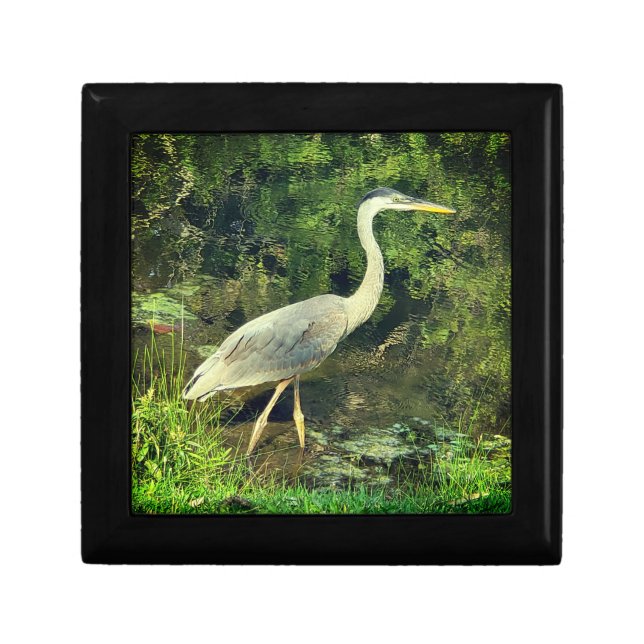 A blue heron gift box (Front)